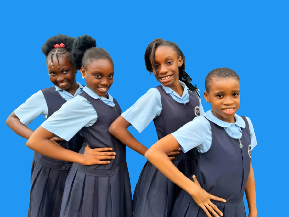 Primary school students learning in classroom